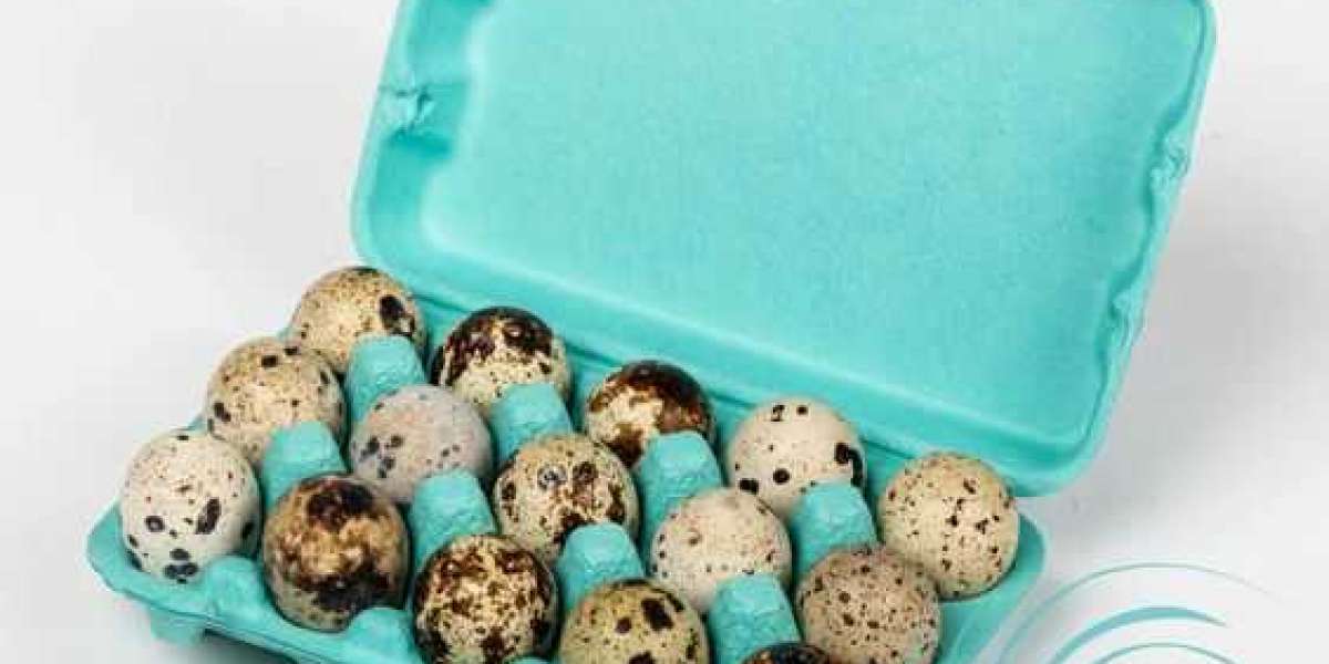 Pulp Egg Cartons: A Revolution in Packaging Eggs