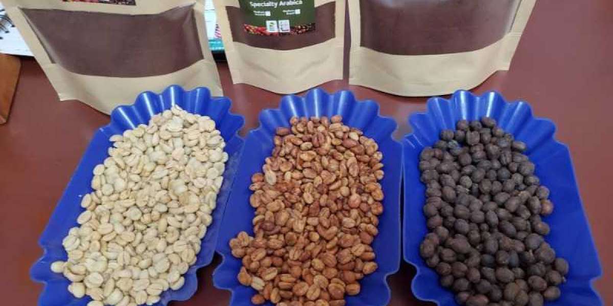 The Best Coffee Varieties for Your Sample Tray