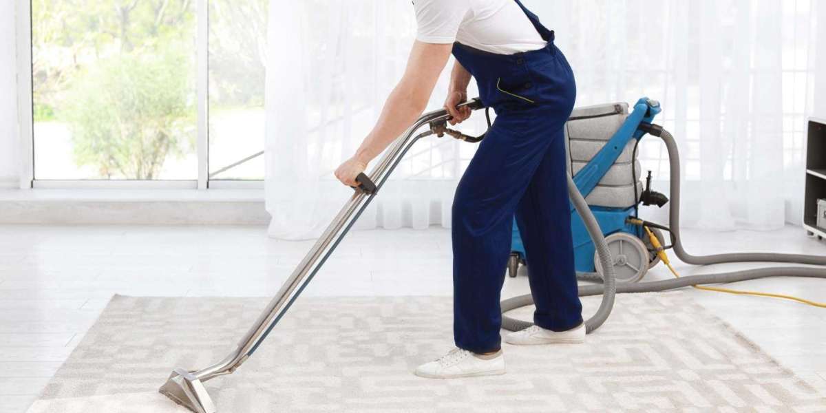 Refresh and Renew: Professional Carpet Cleaning Services