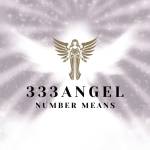 333 Angel Number Means Profile Picture